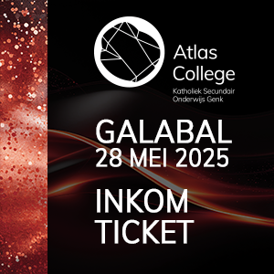 Galabal inkomticket